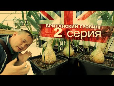 Гровинг (Growing)